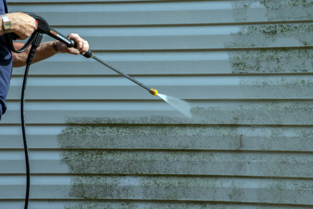 Best Graffiti Removal Services in The Hills, TX